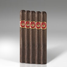 Punch Knuckle Buster Robusto Maduro 25ct – Habano Cigars