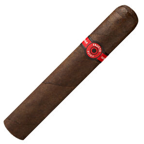 Robusto Gordo, , jrcigars