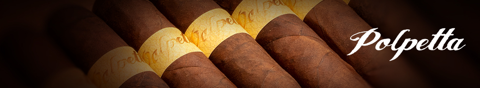 Polpetta